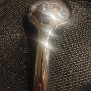 Elegant Silver Handheld Shower Head